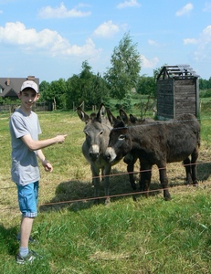 Dnia 2 czerwca wybraliśmy się „na łono natury” do Brzeźnicy. Tam gościliśmy w gospodarstwie pani Anetty Jasińskiej – naszej Pani od muzyki. Było pieczenie kiełbasy, podziwianie krajobrazu, wypoczynek pośród bujnej, wiosennej zieleni. Największą atrakcję st 1