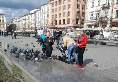 W dniu imienin Oliwki – w słoneczny, choć wietrzny poranek 5 marca, wyruszyliśmy na wycieczkę do Krakowa. Jej celem było rozwijanie umiejętności zachowania uczestników w różnych sytuacjach społecznych oraz wielozmysłowa stymulacja rozwoju. (więcej) 2