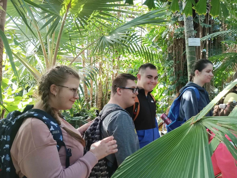 Grupa młodzieży spaceruje alejkami Ogrodu Botanicznego w Krakowie.